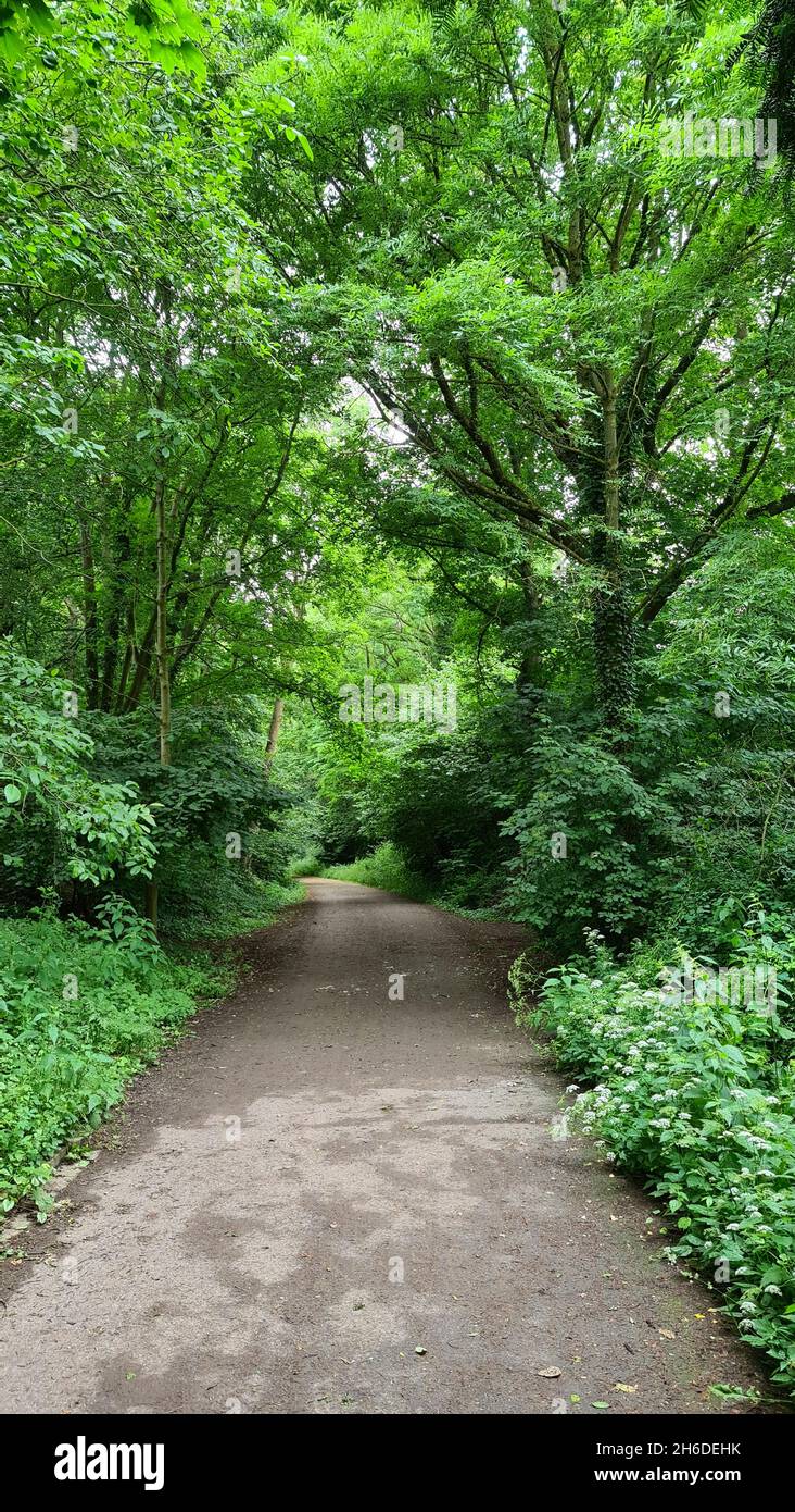 former railway line 'Rheinischer Esel', now cycle and footpath, Germany, North Rhine-Westphalia, Ruhr Area, Witten Stock Photo