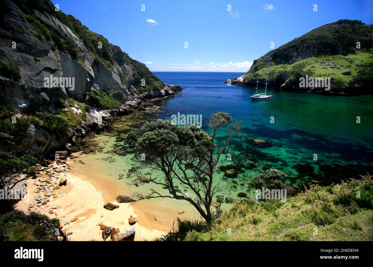 The Cove at Rakitu or Arid Island off the east coast of Great Barrier Island New Zealand Stock Photo