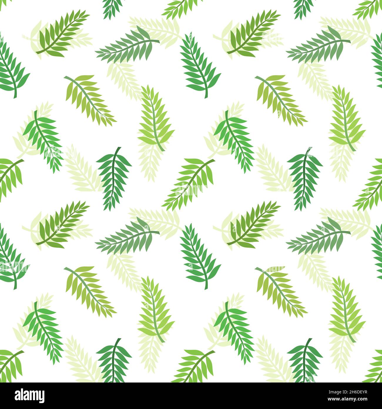 Fern seamless pattern vector vectors hi-res stock photography and ...