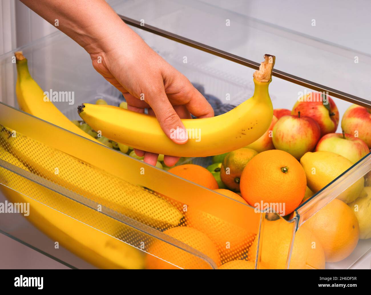 Woman taking banana from fridge drawer full of fruits. Close up Stock