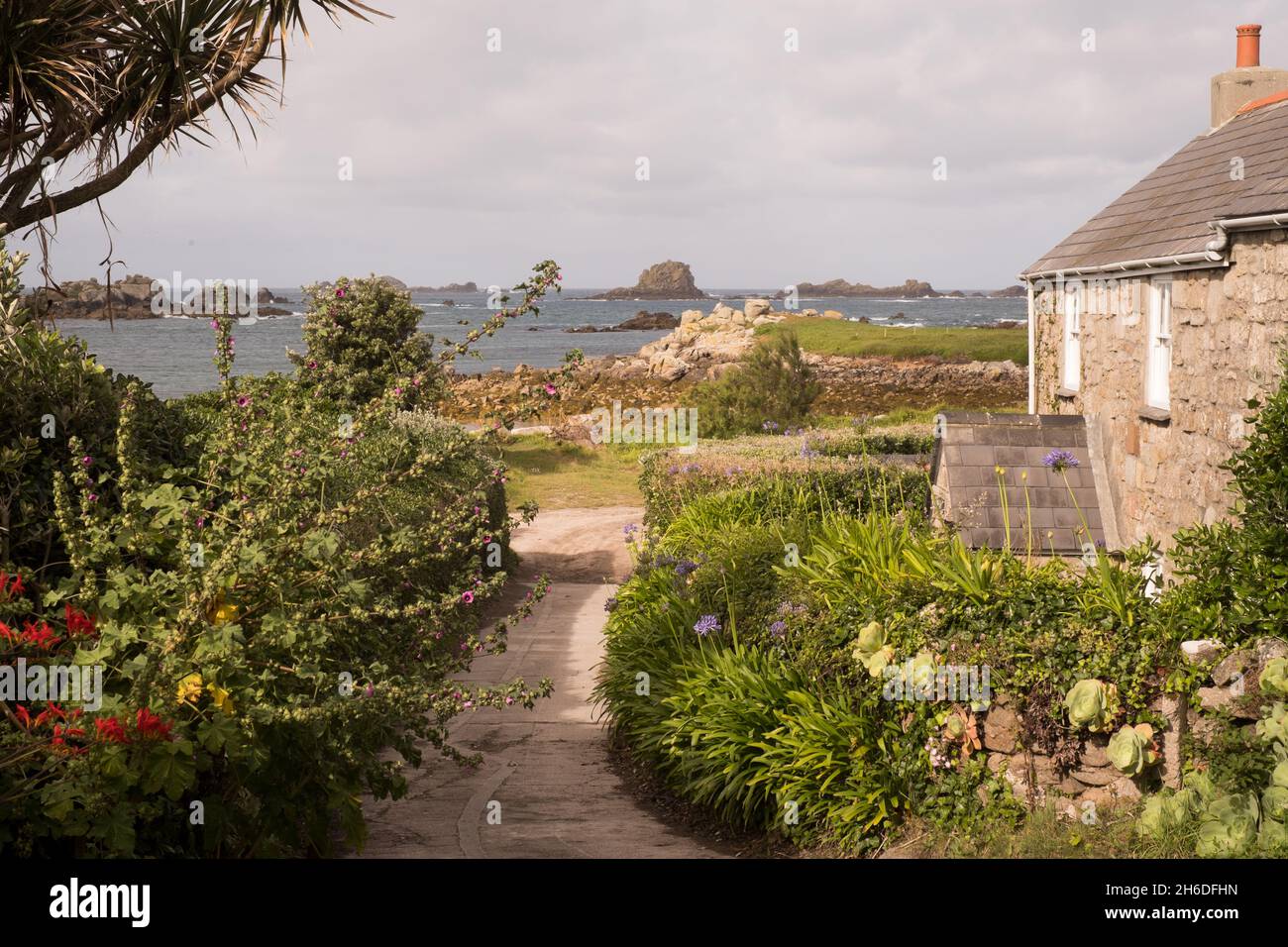 Granite cottage and agapanthus plants on Great Par beach on Bryher, Isles of Scilly Stock Photo