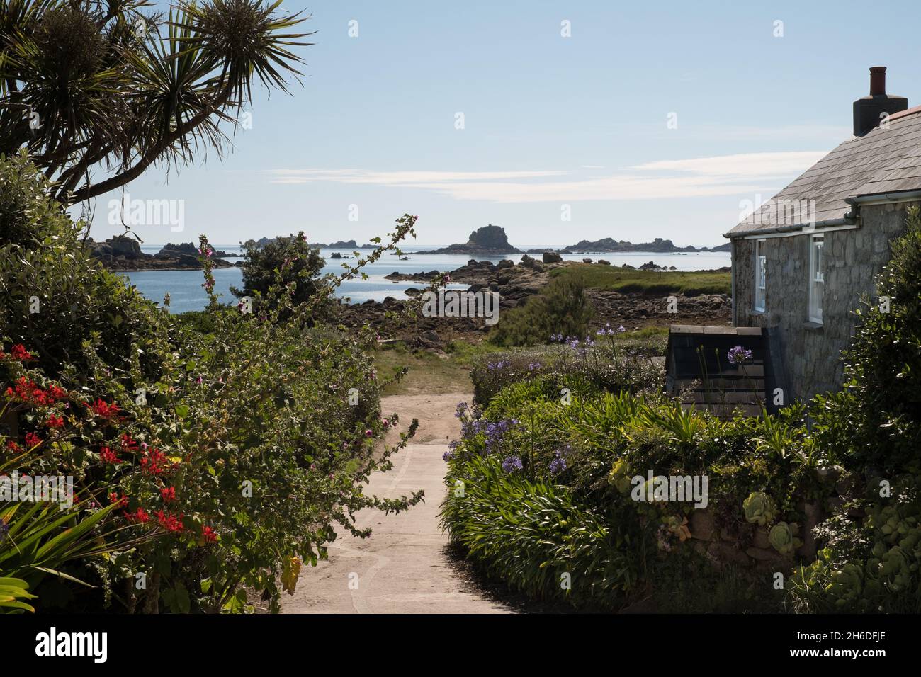 Granite cottage and agapanthus plants on Great Par beach on Bryher, Isles of Scilly Stock Photo