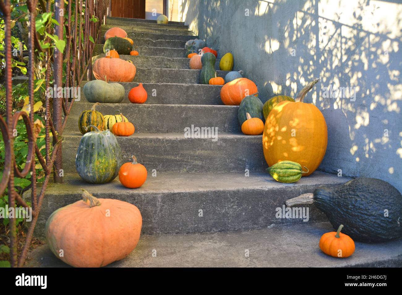 Pumpkins on porch steps hi-res stock photography and images - Alamy