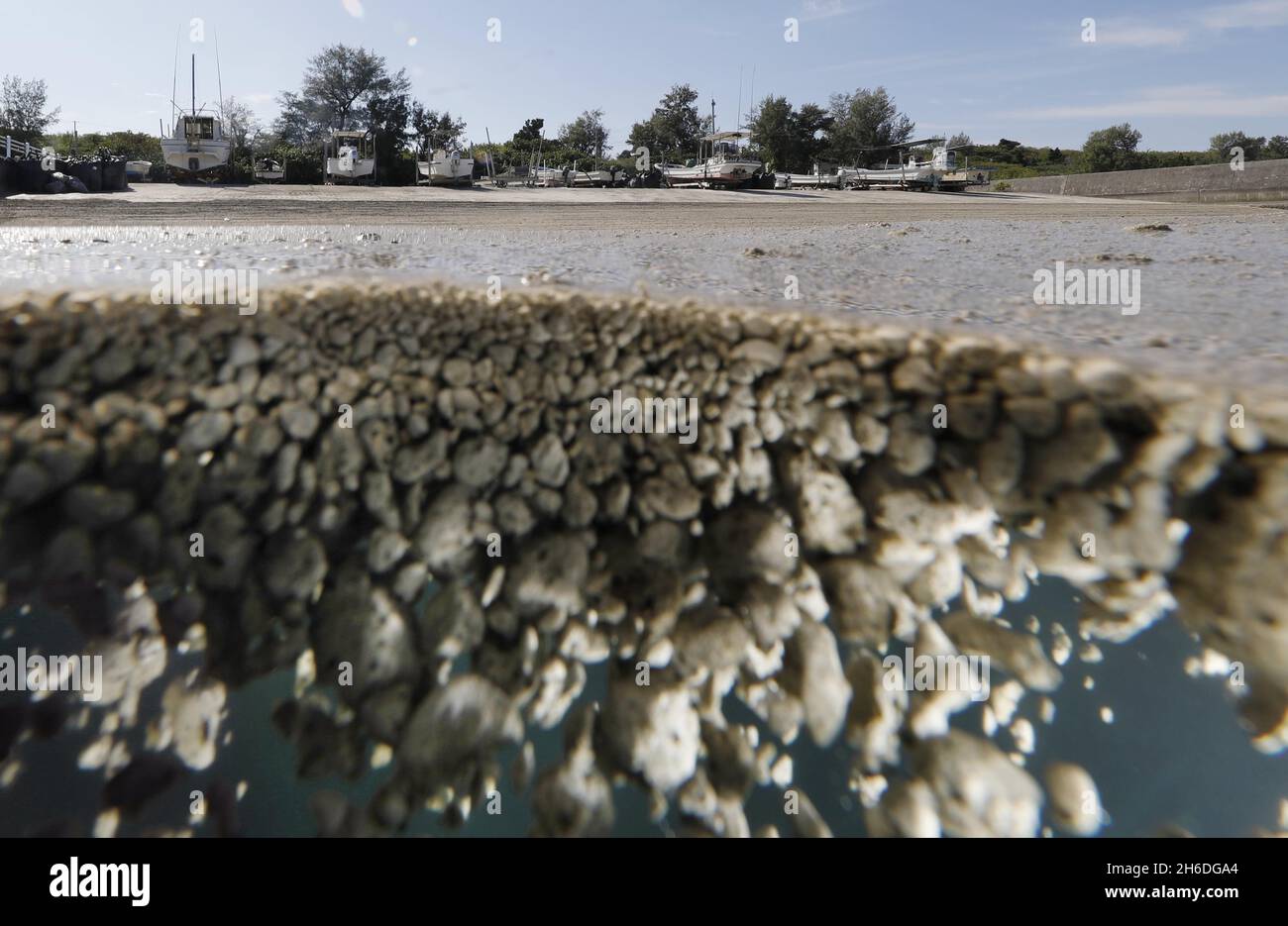 Motobu Japan High Resolution Stock Photography And Images Alamy