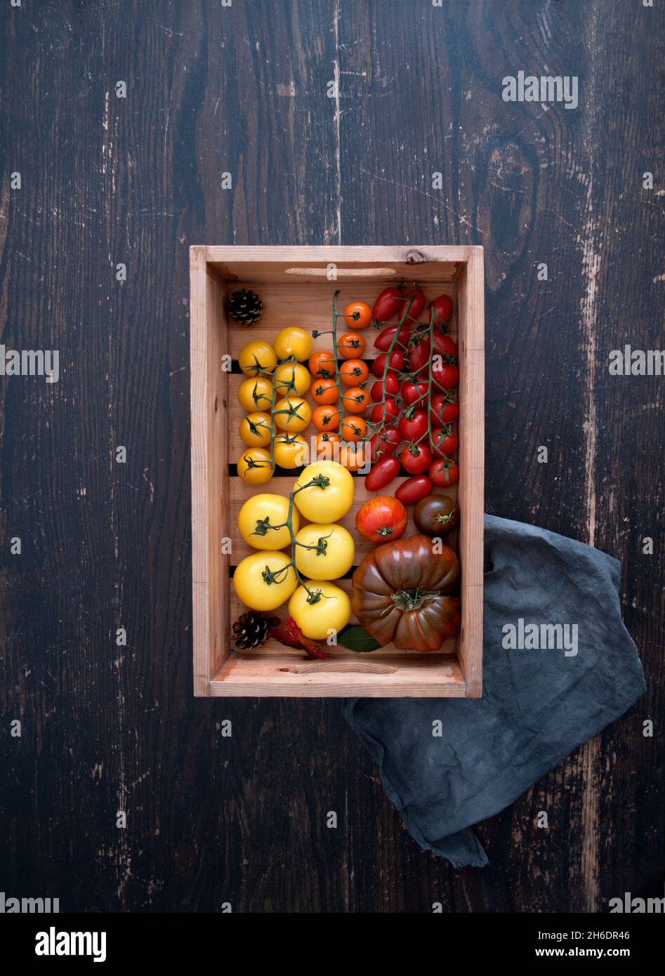 Wooden box with colourful selection of tomatoes, assorted varieties including borange, monterosa and heriloom Stock Photo