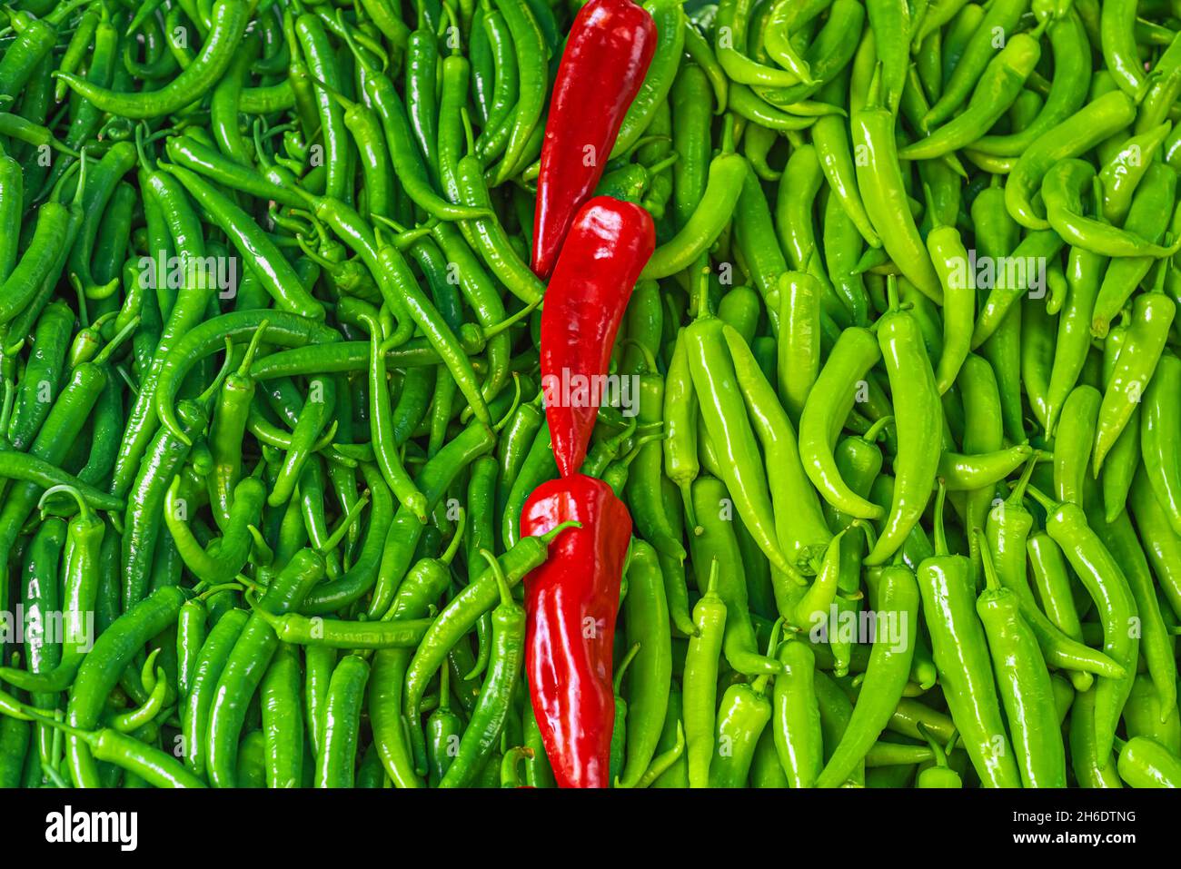 Red and green chili peppers. Fresh vegetable background. Stock Photo