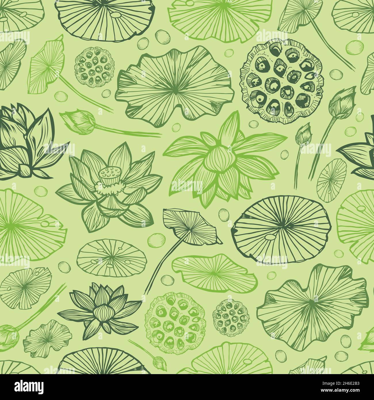 Vector green monochrome lotus tropical flowers and water lily pads and