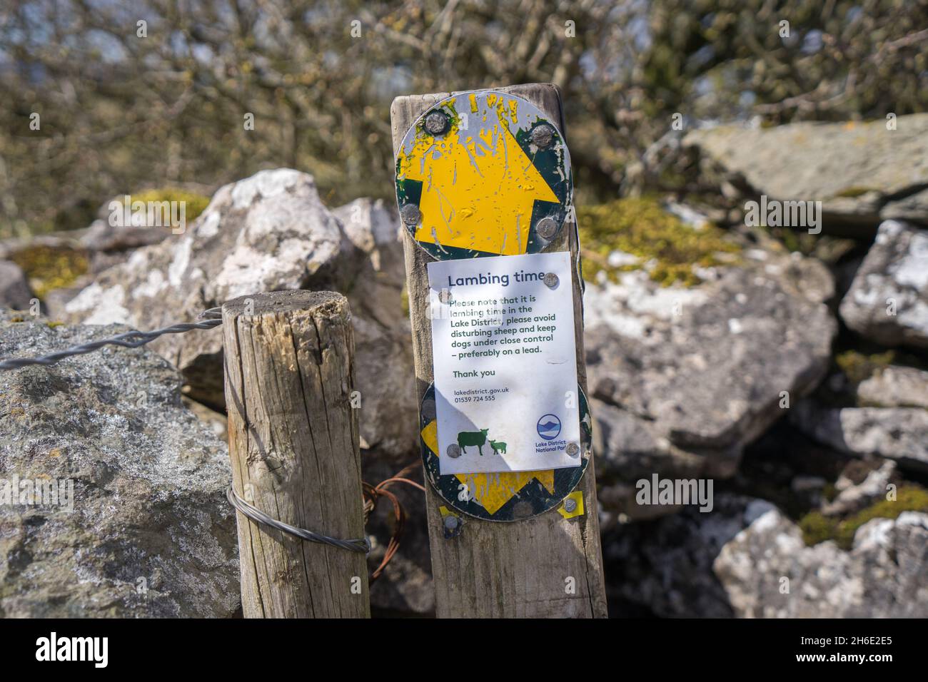 Warning notices during the lambing season on a cumbrian fell Stock Photo