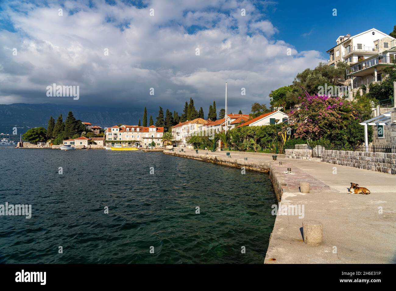 Fischerdorf Rose, Halbinsel Luštica,  Montenegro, Europa  |  Rose fishing village, Luštica peninsula, Montenegro, Europe Stock Photo