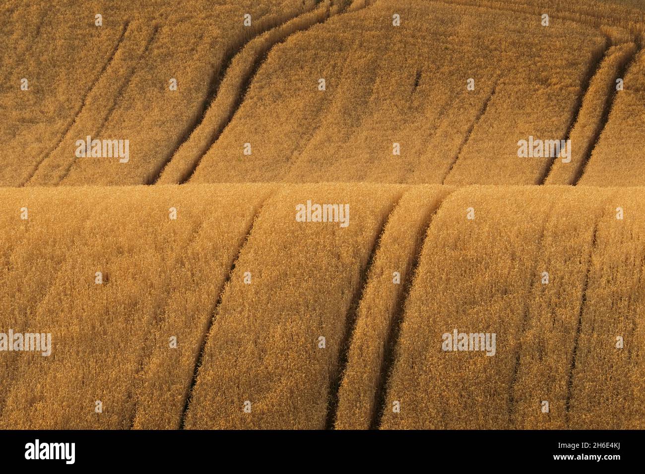 Rolling fields after harvest in South Moravia, Czech Republic Stock Photo