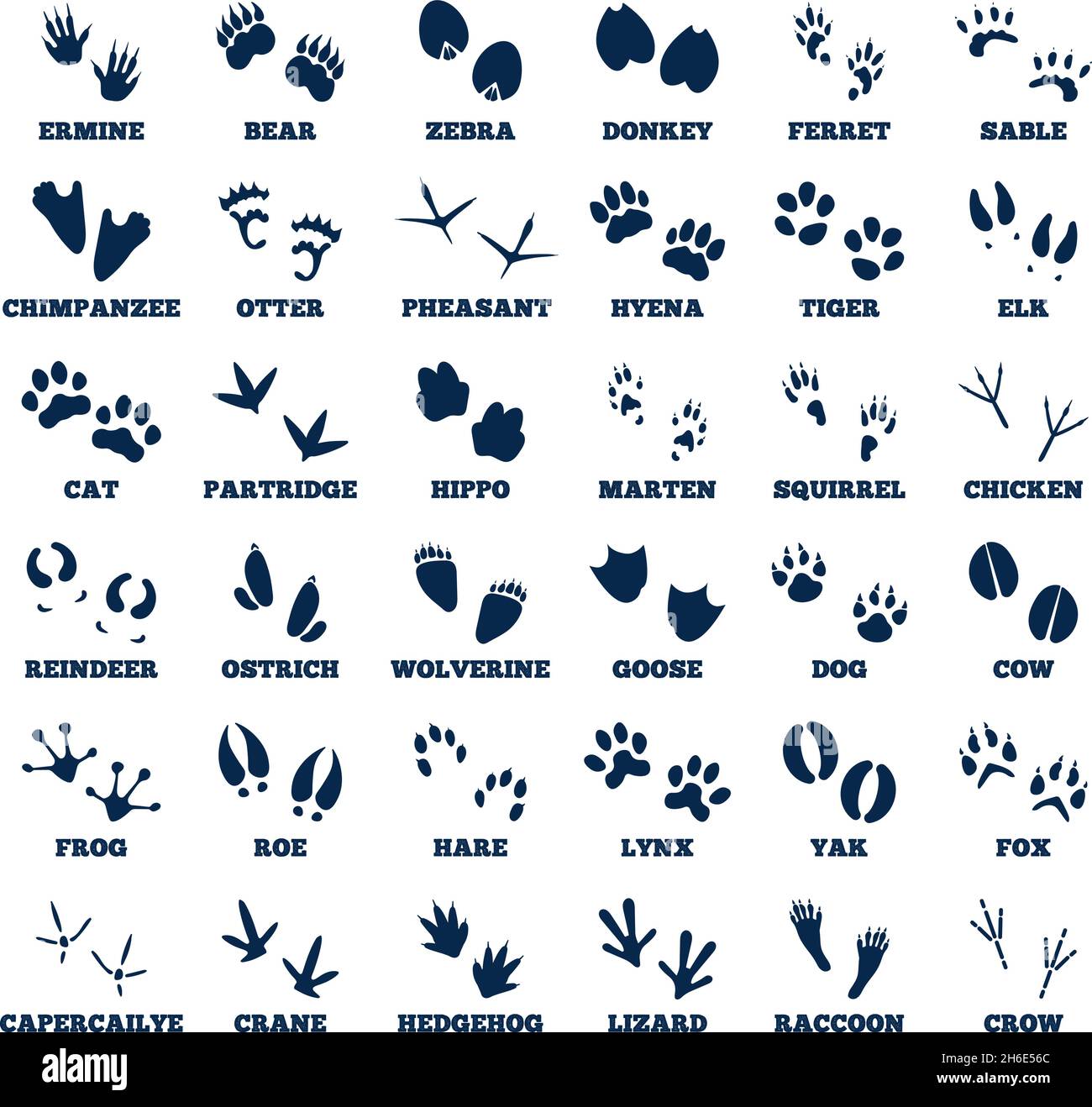 Animal tracks. Footprint animals, goose track. Isolated black trail of wild forest fauna paws. Different natural prints of elk, goose, bear, recent Stock Vector
