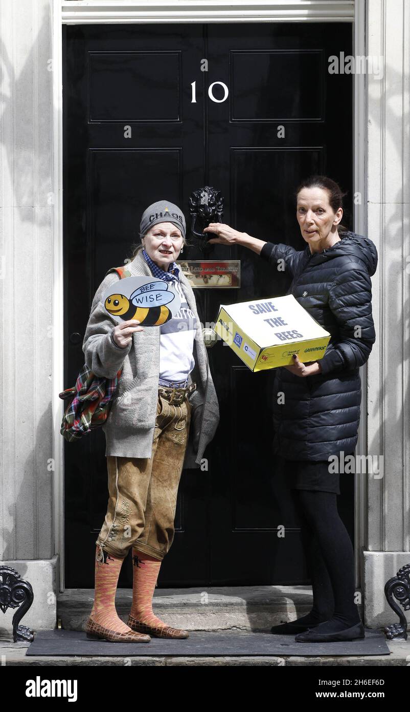 Designer Katherine Hamnett and Vivienne Westwood (left) handing a petition to Downing Street. A group of beekeepers and enthusiasts including fashion designer Vivienne Westwood held a protest outside Parliament today to show the environment minister how important the protection of bees is to the UK.    Picture shows: Designer Katherine Hamnett and Vivienne Westwood handing a petition to Downing Street   Stock Photo