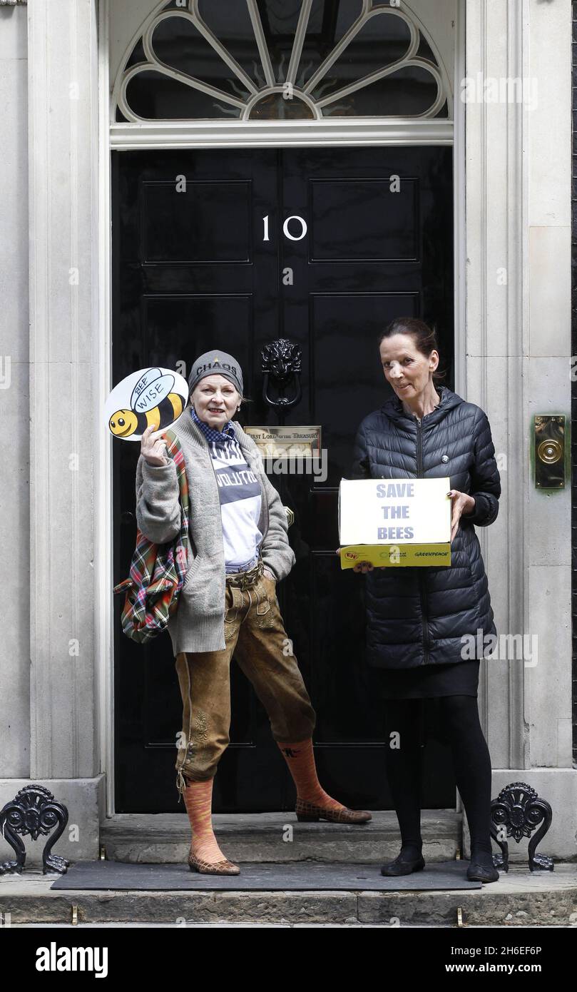 Designer Katherine Hamnett and Vivienne Westwood (left) handing a petition to Downing Street. A group of beekeepers and enthusiasts including fashion designer Vivienne Westwood held a protest outside Parliament today to show the environment minister how important the protection of bees is to the UK.   Stock Photo