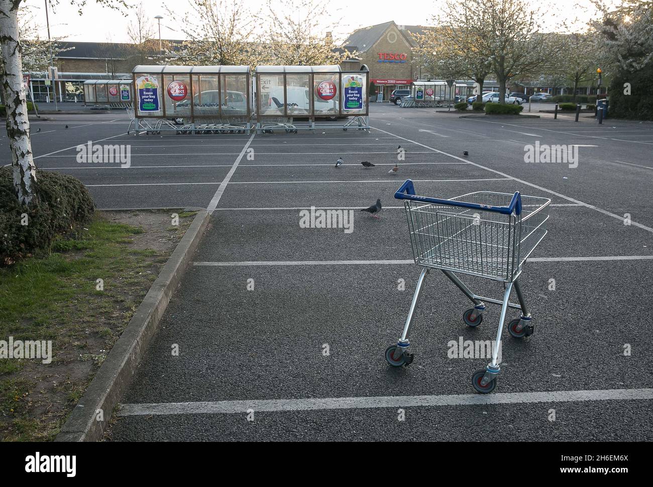 An empty Tesco car park in London this morning. Tesco has made a loss