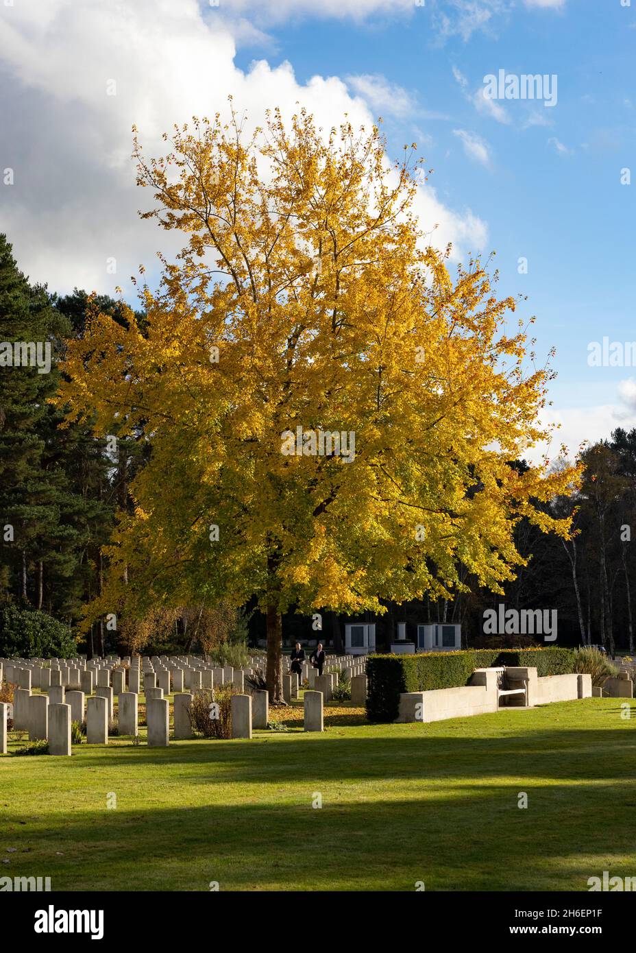 The trees show autumnal colours at Brookwood CWGC Military Cemetery in Surrey Stock Photo