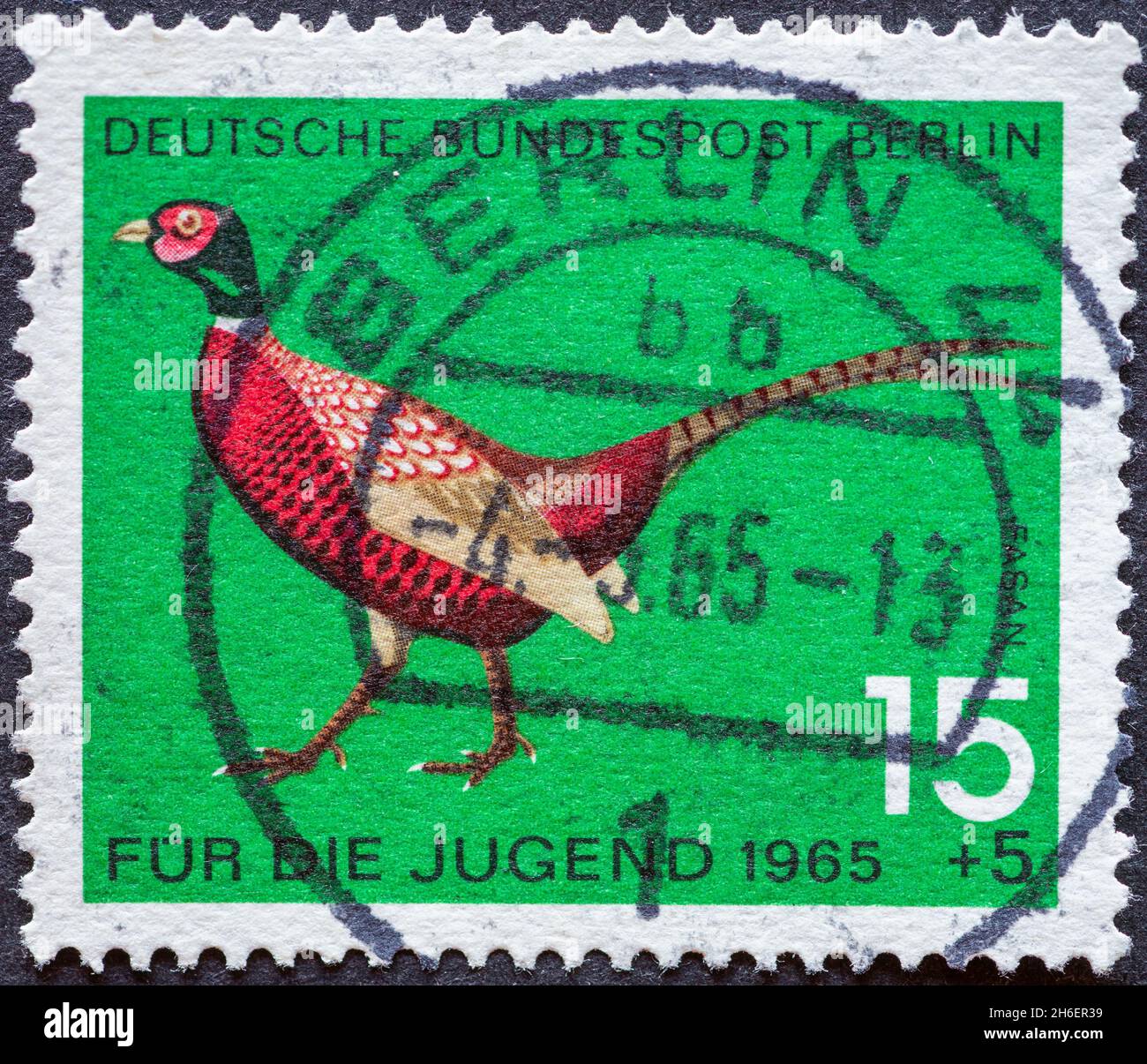 GERMANY, Berlin - CIRCA 1965: a postage stamp from Germany, Berlin showing special wildlife birds: cock pheasant charity postal stamp for youngsters Stock Photo