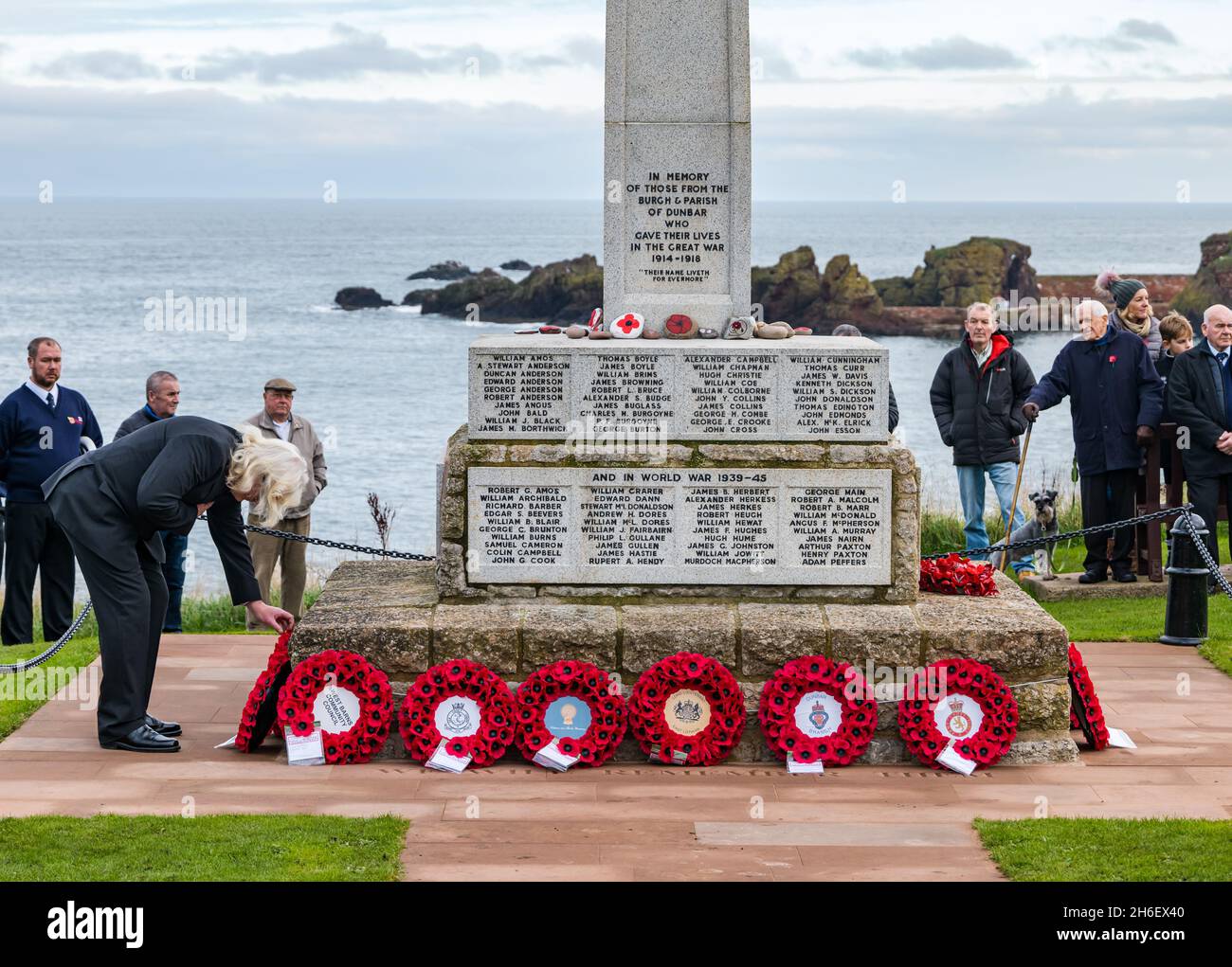 Man laying poppy wreath at war memorial in Remembrance Day ceremony, Dunbar, East Lothian, Scotland, UK Stock Photo