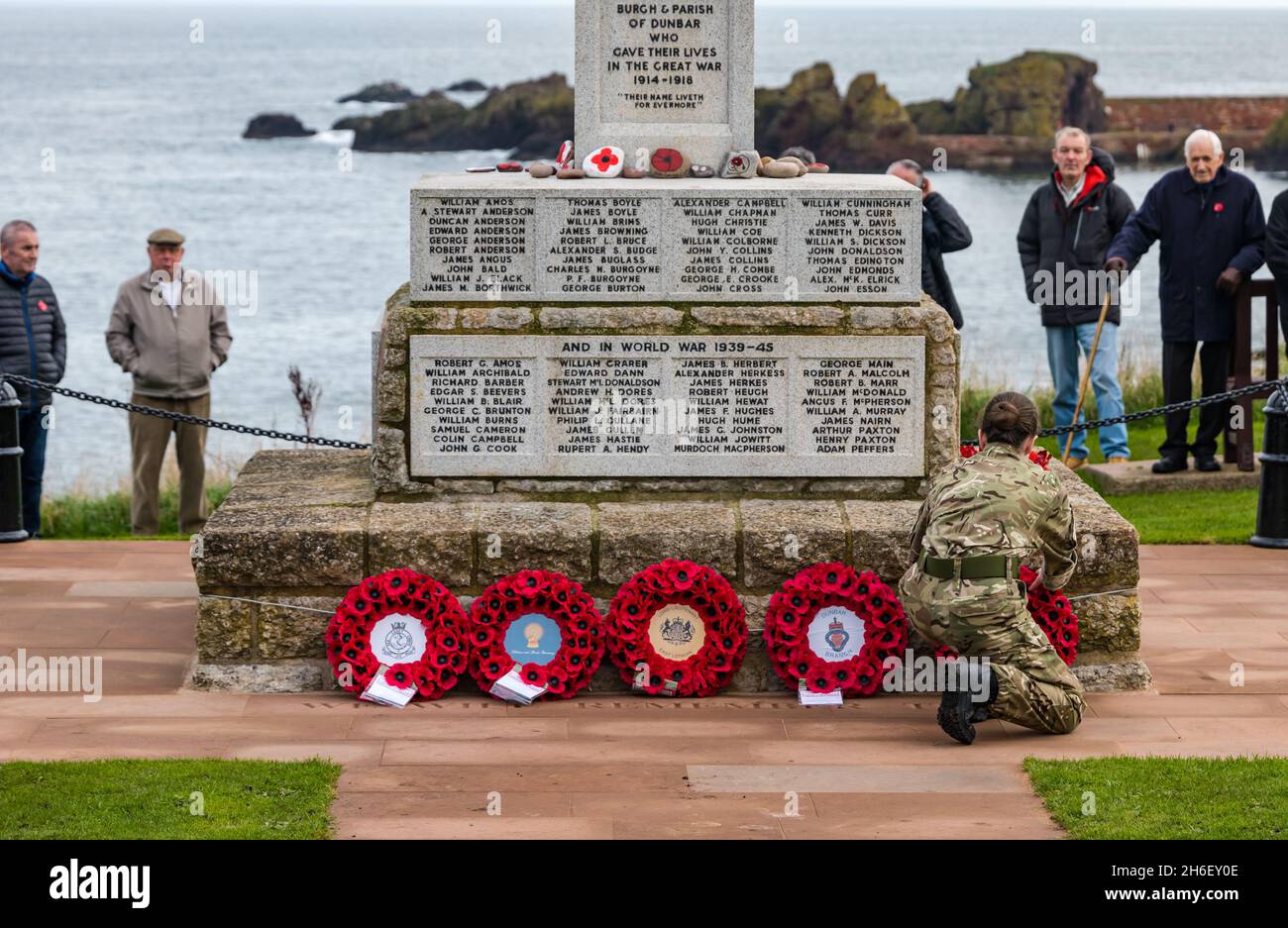 Female soldier laying poppy wreath at war memorial in Remembrance Day ceremony, Dunbar, East Lothian, Scotland, UK Stock Photo