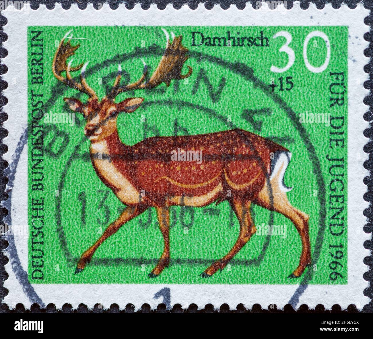 GERMANY, Berlin - CIRCA 1966: a postage stamp from Germany, Berlin showing Wildlife of the forest. fallow deer. charity postal stamp for the youth Stock Photo