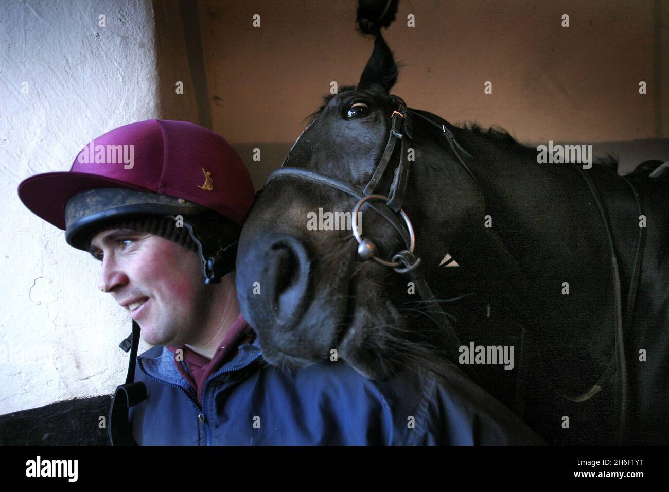 The Mouse Morris trained 2006 totesport Cheltenham Gold Cup winner War Of Attrition photographed ten days ago with a stable lad, at his home in Fethard Co Tipperary, Ireland. Stock Photo