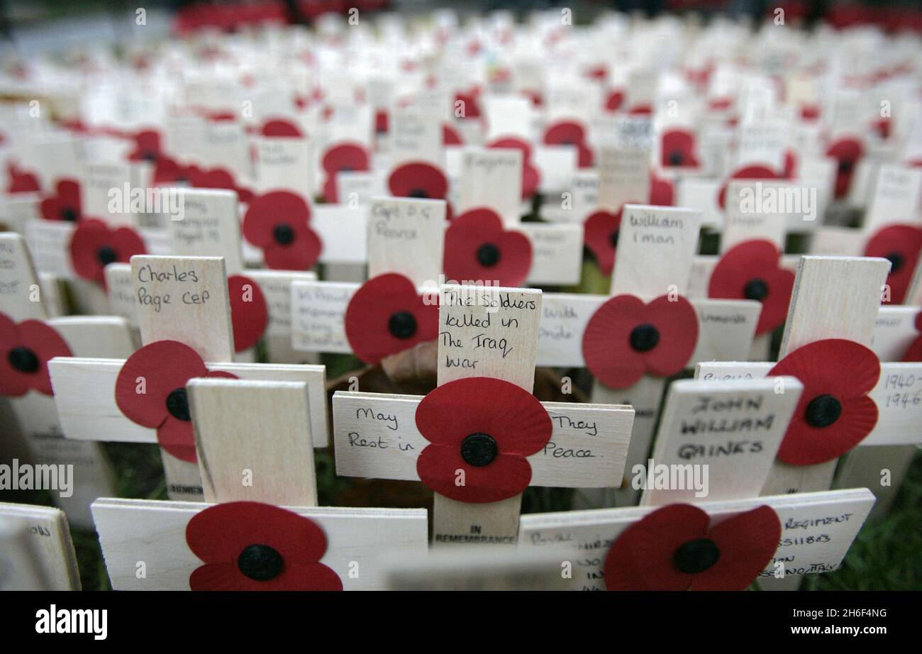 High Roding War Memorial The Field Of Remembrance in Westminster Abbey. More than 29,000 small ...