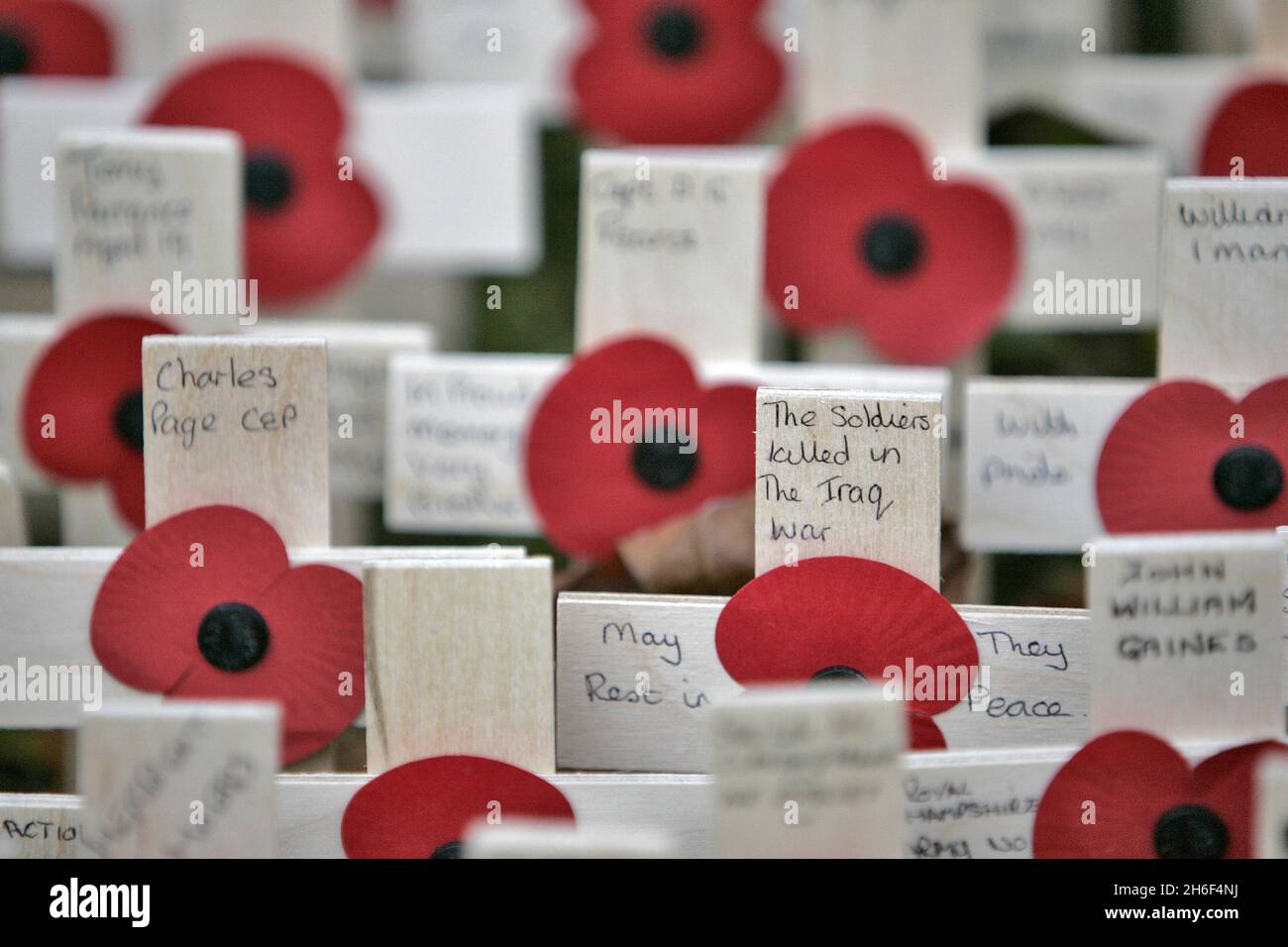 Numbers 29000 The Field Of Remembrance in Westminster Abbey. More than 29,000 small ...