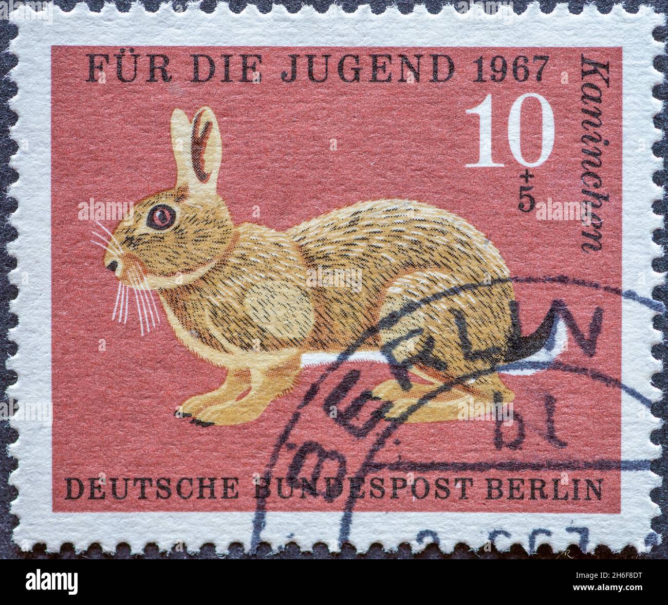 GERMANY, Berlin - CIRCA 1967: a postage stamp from Germany, Berlin showing smaller wild animals in Germany. rabbit. charity postal stamp for the youth Stock Photo