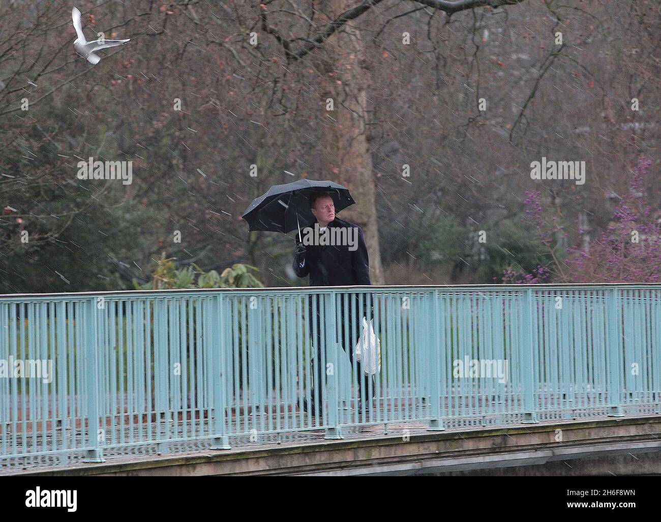 Snow in St James Park next to Buckingham Palace, as Londoners woke up ...