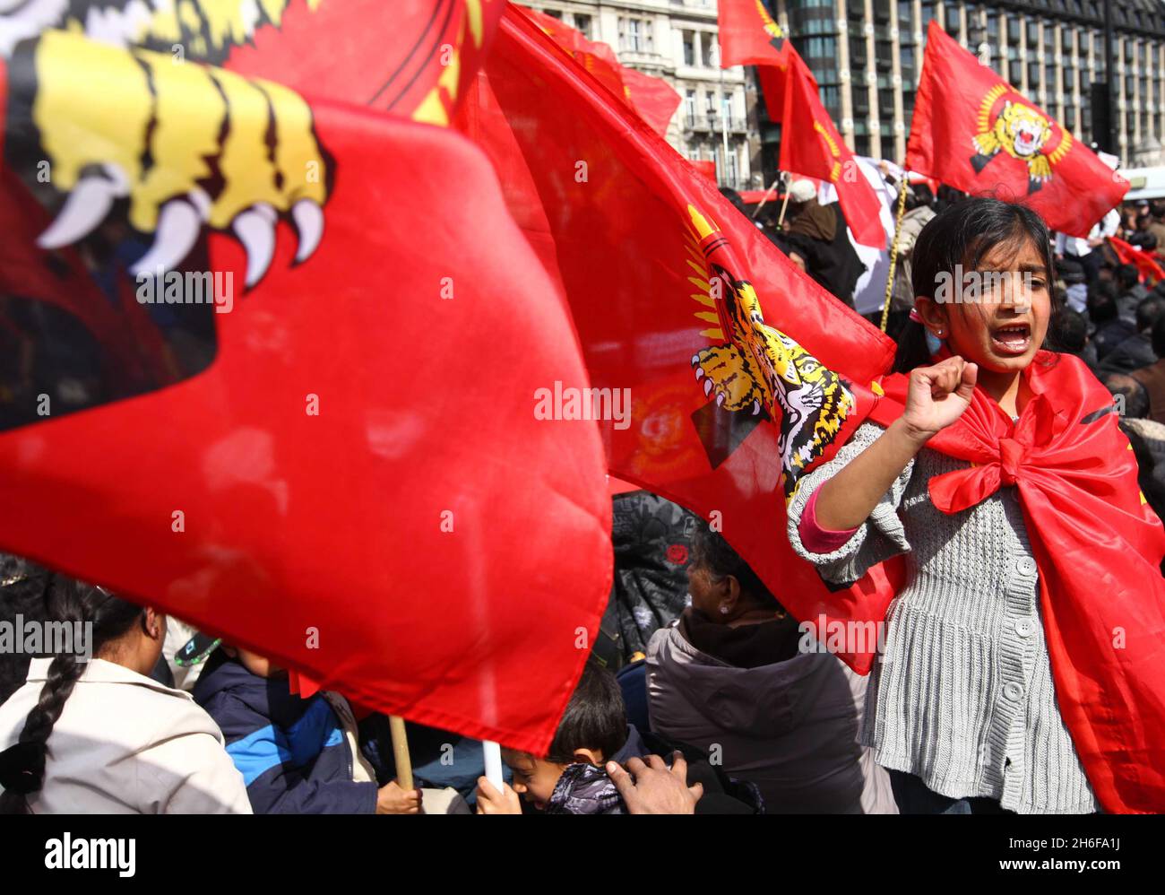 Tamil demonstrators refuse to leave Westminster as they protested against the Sri Lankan government's offensive against Tamil Tiger rebels and alleged human rights abuses. Stock Photo