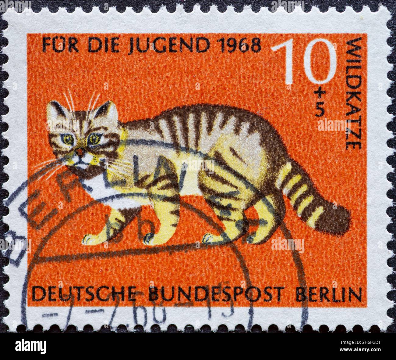 GERMANY, Berlin - CIRCA 1968: a postage stamp from Germany, Berlin showing  rare wild animals. wild cat. charity postal stamp for the youth Stock Photo  - Alamy