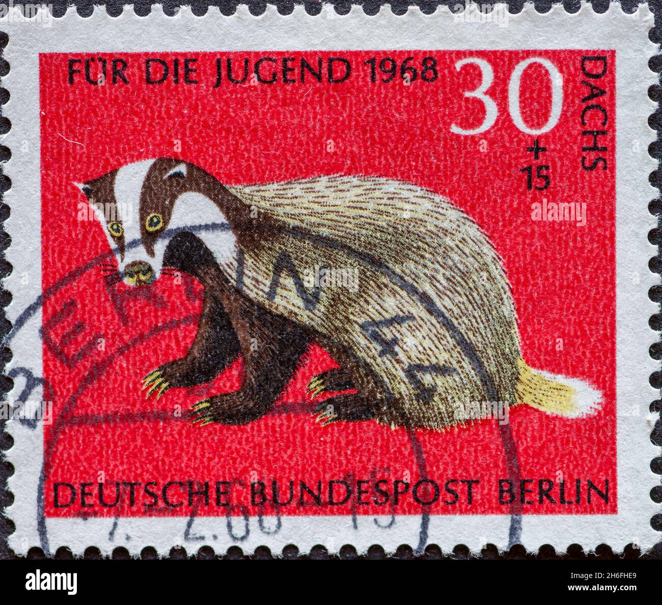 GERMANY, Berlin - CIRCA 1968: a postage stamp from Germany, Berlin showing rare wild animals. badger. charity postal stamp for the youth Stock Photo