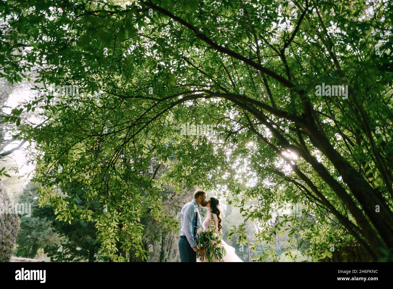 The bride and groom stand kissing under lush bush in the olive grove ...