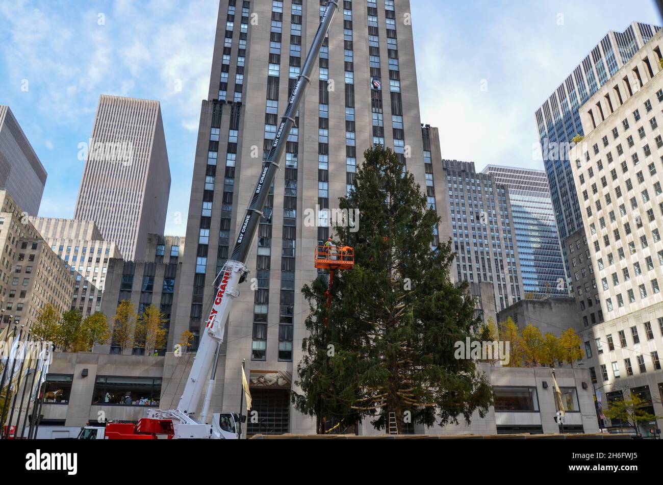 Curated visual reference: 1148 Feet From Rockefeller Center Reference: The 12 Ton 79 Foot Rockefeller Center Christmas Tree Arrived