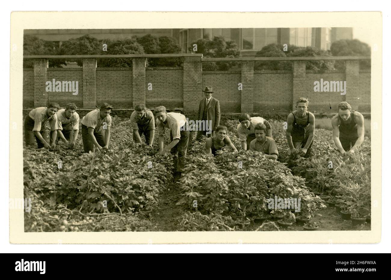 Early 1900's postcard of fit young  men, agricultural students, workers, gardening and working in a nursery, with a manager or overseer,  European, circa 1930's Stock Photo