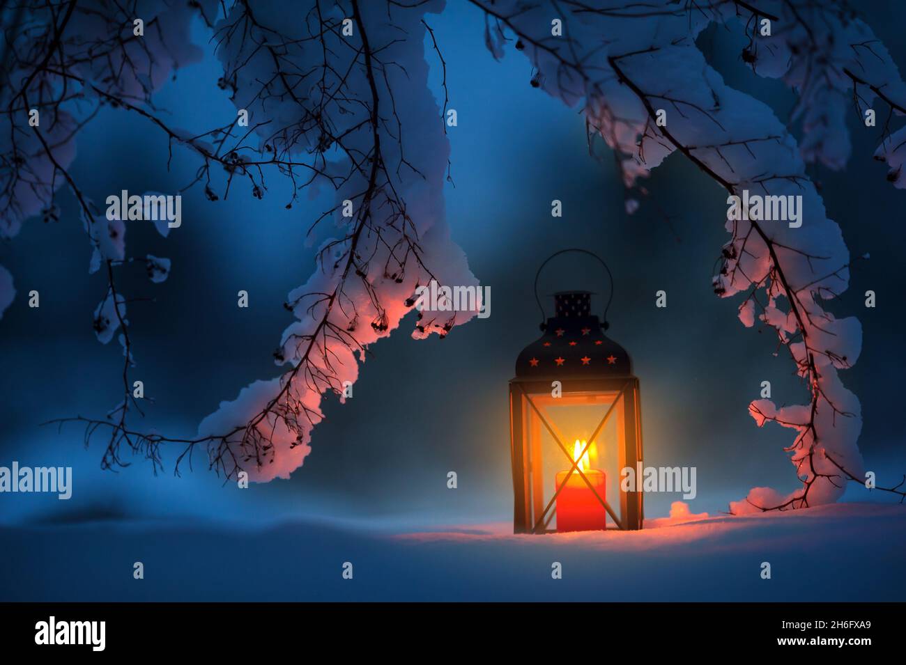 Candle lantern under the snowy branches at dusk. Christmas time in a