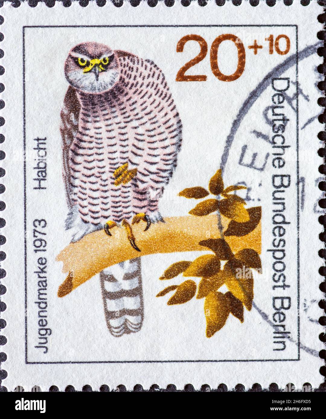 GERMANY, Berlin - CIRCA 1973: a postage stamp from Germany, Berlin showing a drawing of the bird of prey hawk. charity youth postal stamp 1973. Stock Photo