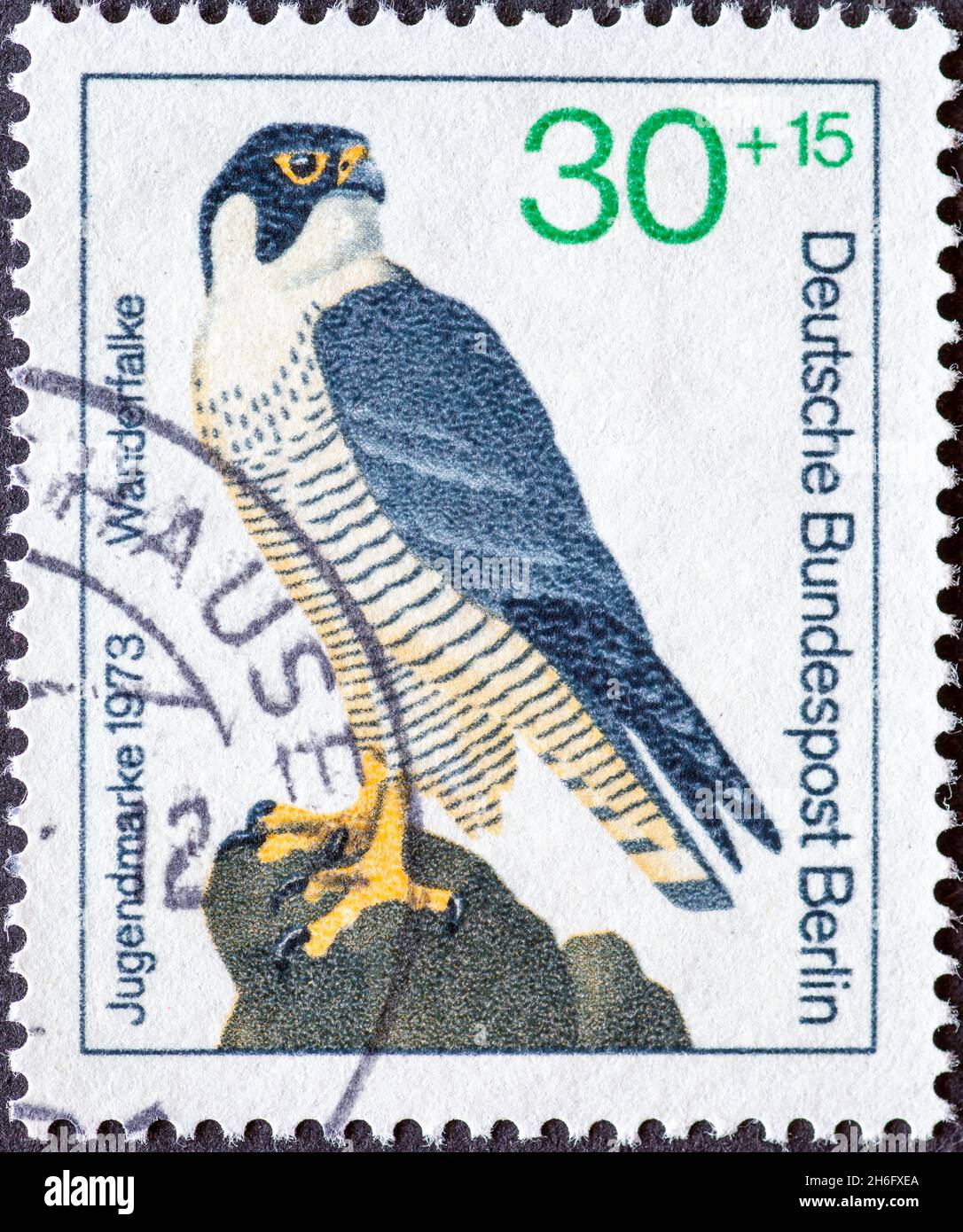 GERMANY, Berlin - CIRCA 1973: a postage stamp from Germany, Berlin showing a drawing of the bird of prey peregrine falcon. charity youth postal stamp Stock Photo