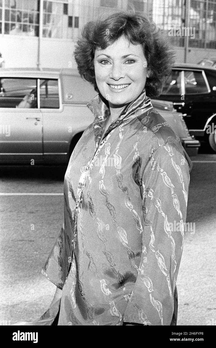 Marion Ross Circa 1980's Credit: Ralph Dominguez/MediaPunch Stock Photo ...