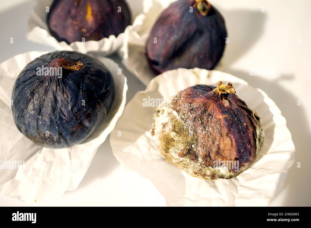 Mold on ripe purple figs close up . Selective focus. Mold spores during fruit transportation