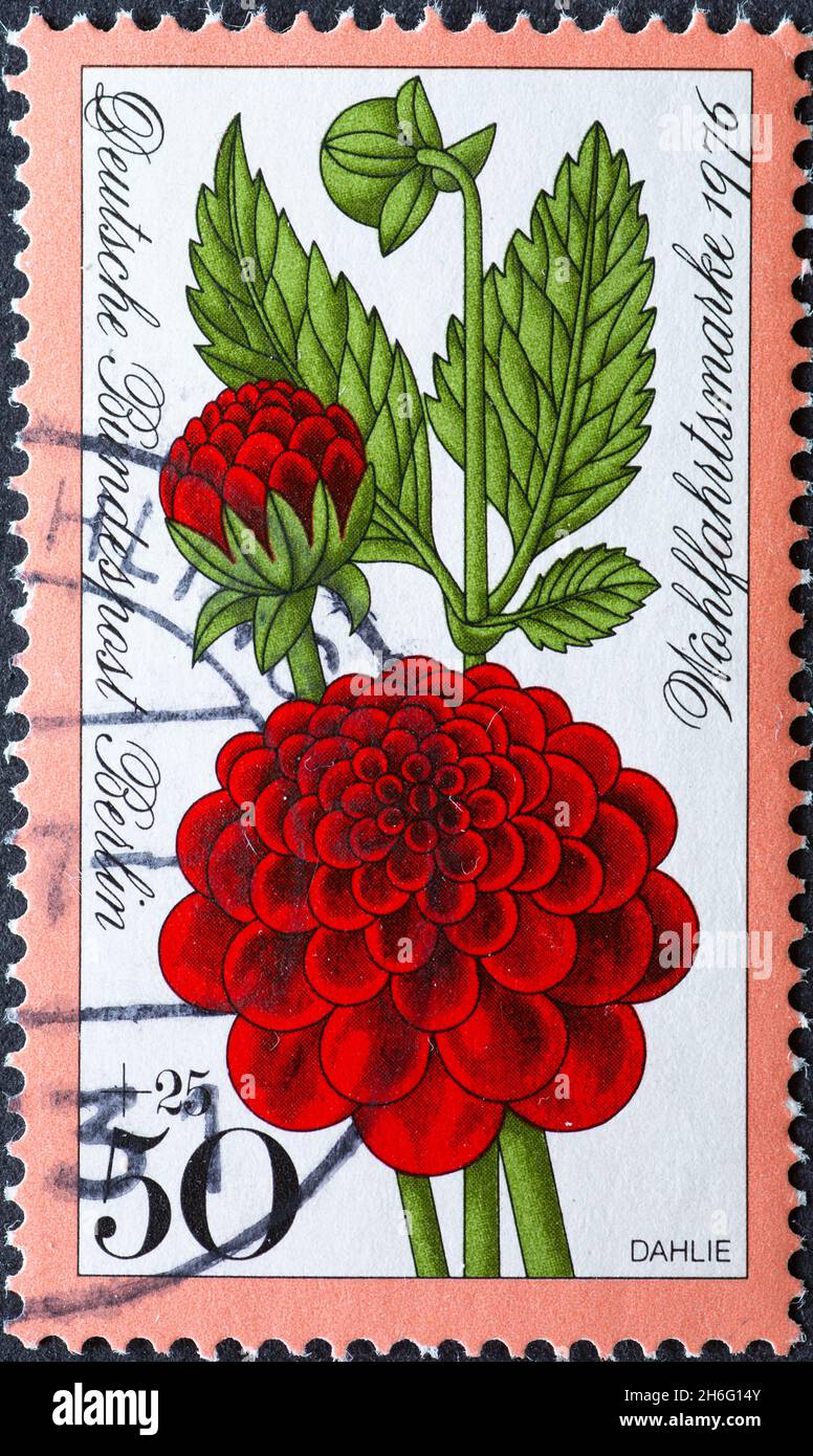 GERMANY, Berlin - CIRCA 1977: a postage stamp from Germany, Berlin showing a dahlia on a welfare postal stamp Stock Photo