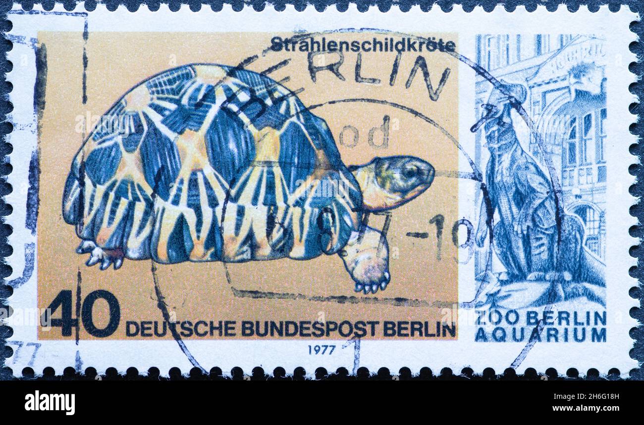 GERMANY, Berlin - CIRCA 1977: a postage stamp from Germany, Berlin showing a ray turtle Text: Zoo Berlin aquarium Stock Photo