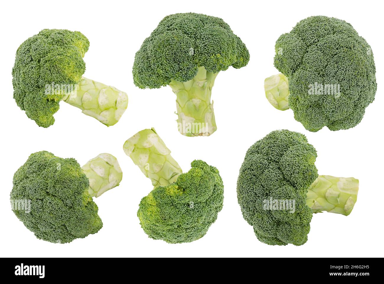 Collection of fresh green broccoli isolated on white background Stock Photo
