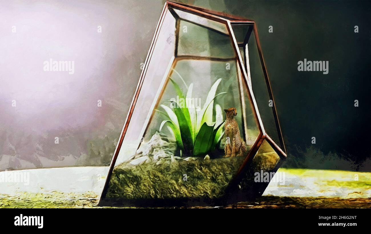 Terrarium art hires stock photography and images Alamy