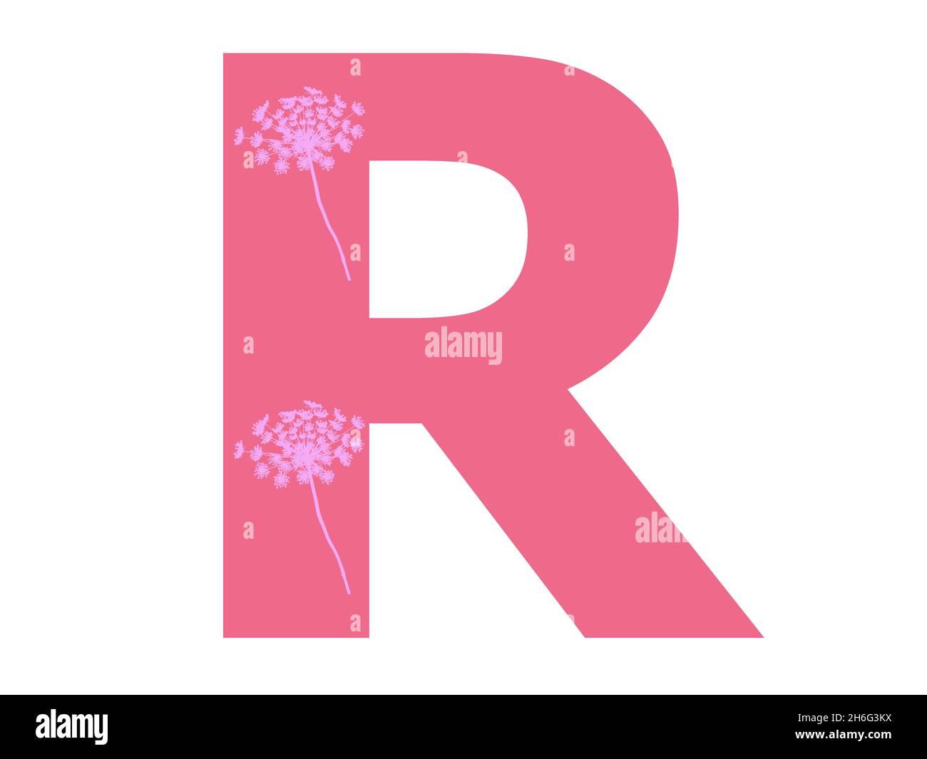 Letter R of the alphabet made with pink flower silhouette in a dark pink  background, the letter is isolated on a white background Stock Photo - Alamy