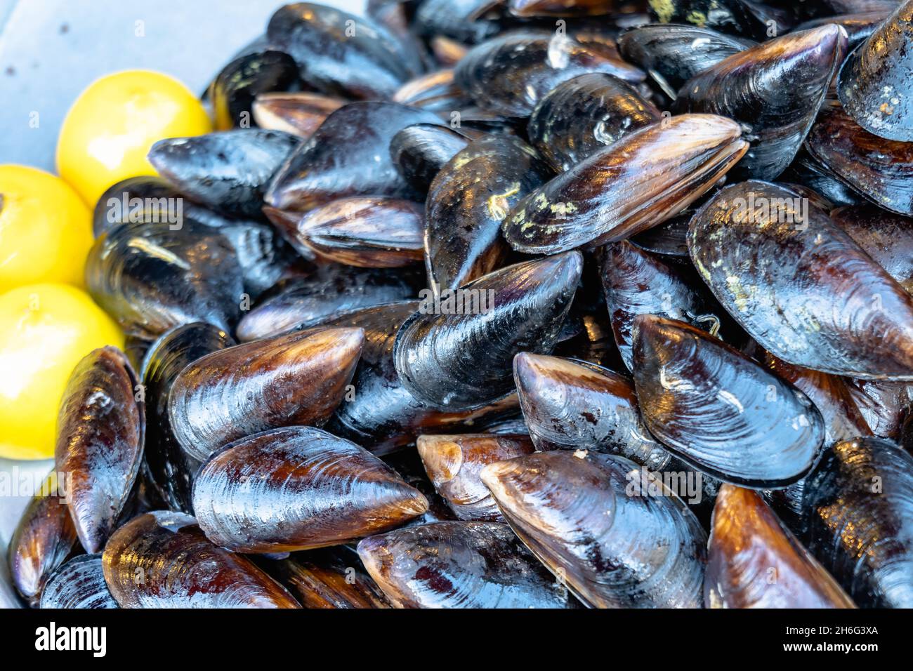 Midye dolma, stuffed mussels closeup, traditional Turkish food food