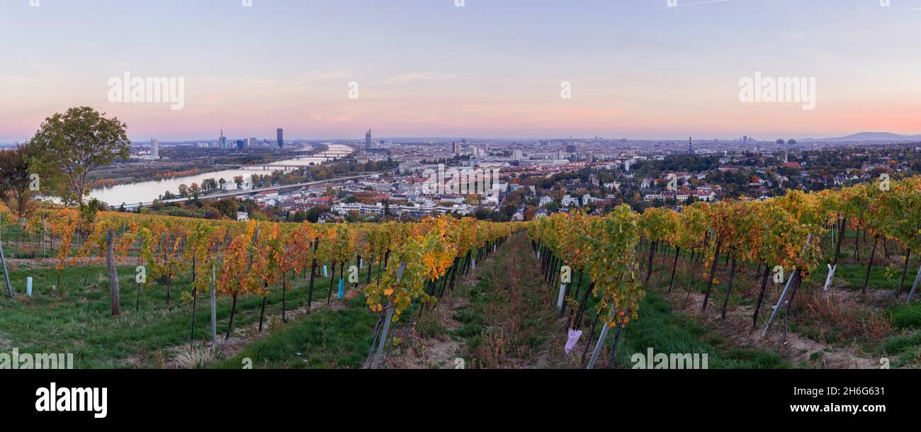 panoramic view of Vienna, Austria with vineyards Stock Photo