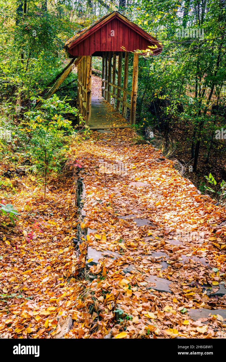 Covered footbridge on a hiking trail in Gillette Castle State Park, Connecticut Stock Photo