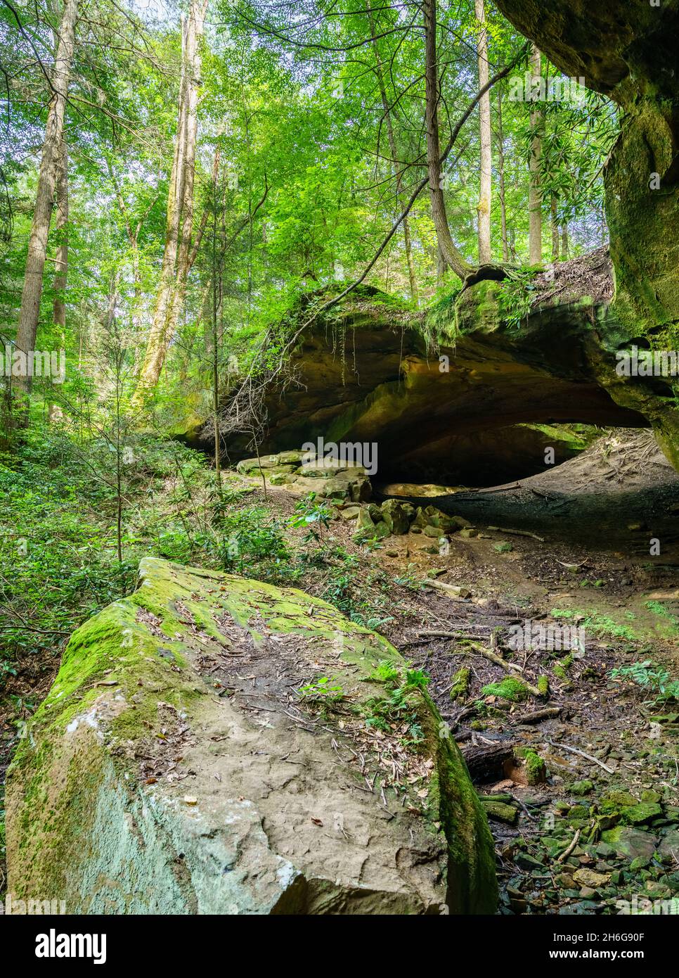 Forest rocks hi-res stock photography and images - Alamy