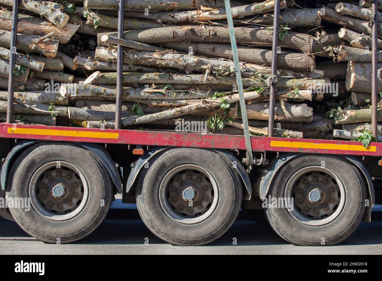 Truck trailer overloaded with riverside tree logs. Truck weight restrictions concept Stock Photo