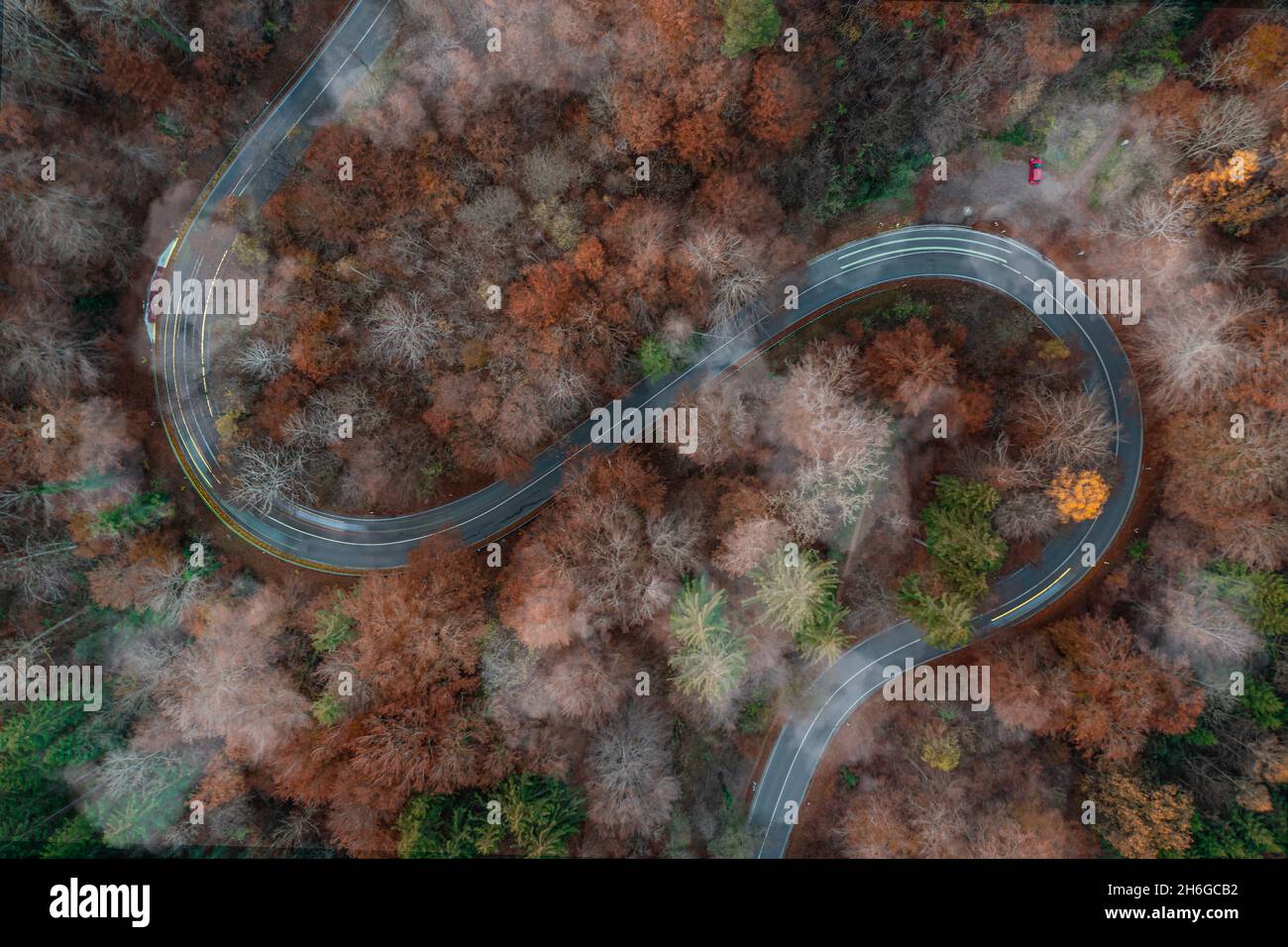 Foggy travel day, aerial view at the evening traffic at an autumnal country road with lighttrails of driving cars in a beautiful fall atmosphere. Stock Photo